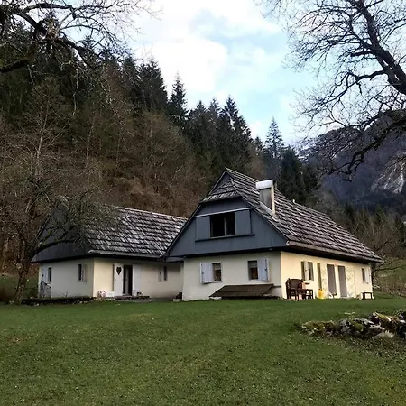 Cozy In The Heart Of The Triglav National Park *