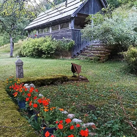 Cozy In The Heart Of The Triglav National Park Chalet *