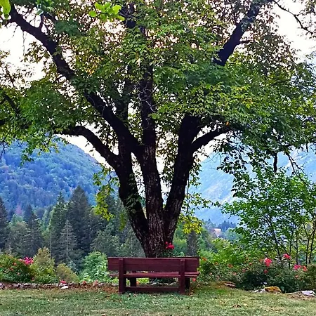Chalet Cozy In The Heart Of The Triglav National Park *