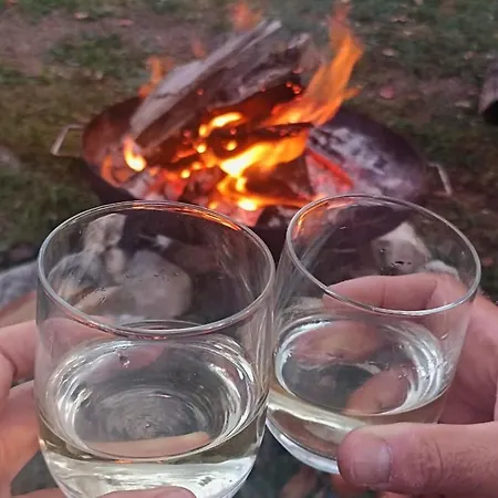 Cozy In The Heart Of The Triglav National Park Chalet Soca